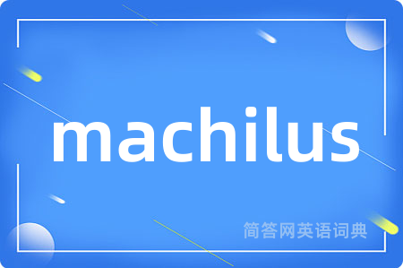 machilus