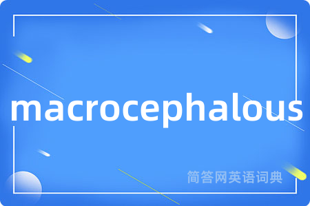 macrocephalous是什么意思,macrocephalous的中文翻译 macrocephalous