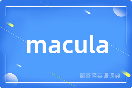 macula