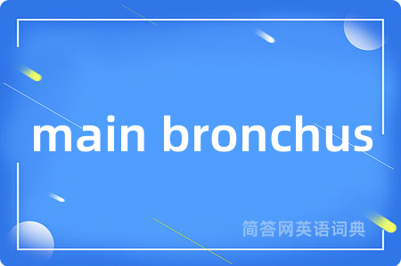 main bronchus