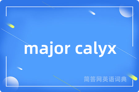 major calyx