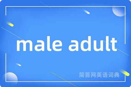 male adult
