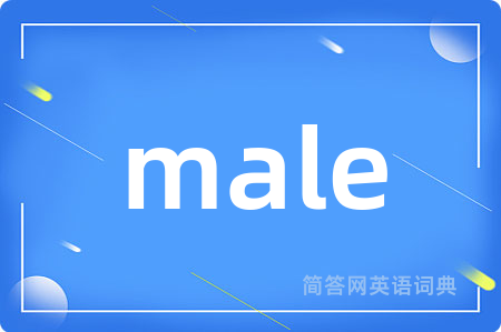 male是什么意思,male的中文翻译 male