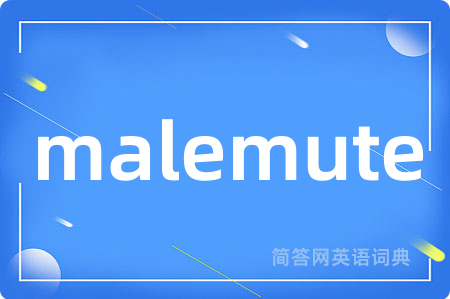 malemute