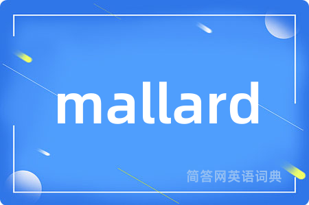 mallard是什么意思,mallard的中文翻译 mallard