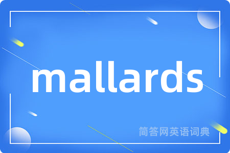 mallards是什么意思,mallards的中文翻译 mallards
