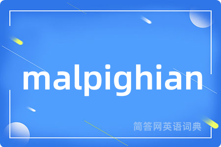 malpighian是什么意思,malpighian的中文翻译 malpighian