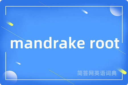 mandrake root是什么意思,mandrake root的中文翻译 mandrake root