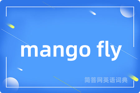 mango fly