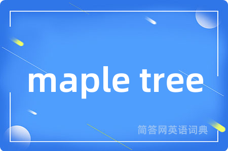 maple tree