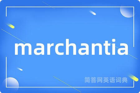 marchantia