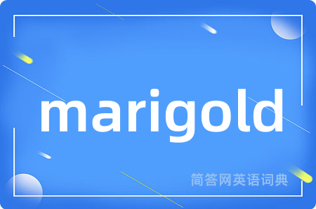 marigold