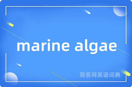 marine algae