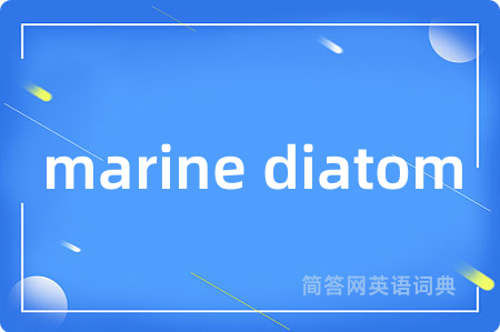 marine diatom