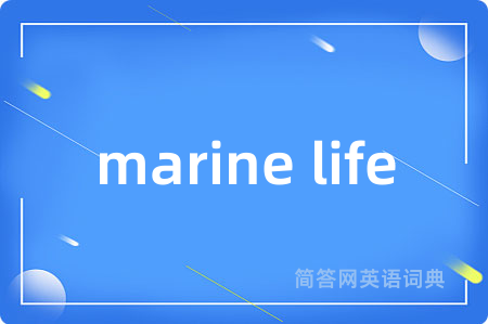 marine life