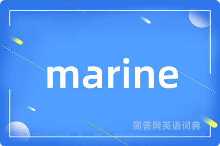 marine是什么意思,marine的中文翻译 marine