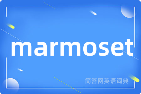 marmoset是什么意思,marmoset的中文翻译 marmoset