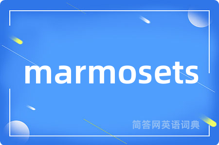 marmosets