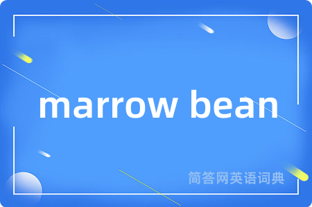 marrow bean是什么意思,marrow bean的中文翻译 marrow bean