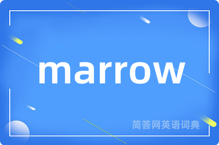 marrow是什么意思,marrow的中文翻译 marrow