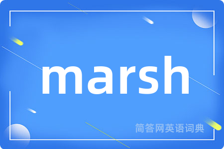 marsh