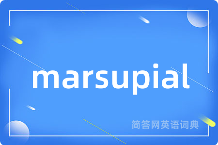 marsupial