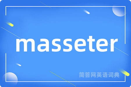 masseter是什么意思,masseter的中文翻译 masseter