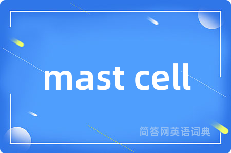 mast cell