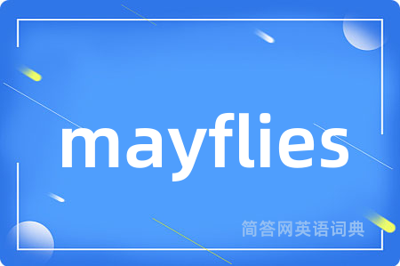 mayflies