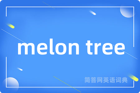 melon tree