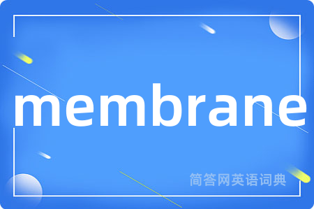 membrane