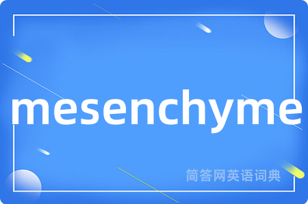 mesenchyme