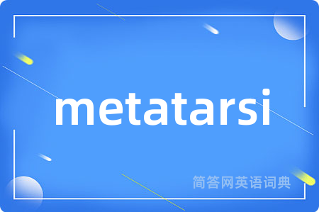 metatarsi