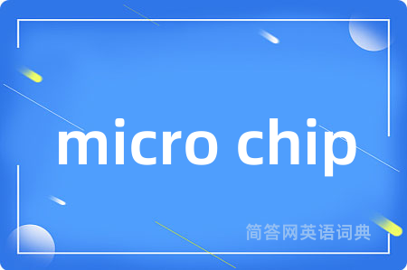 micro chip