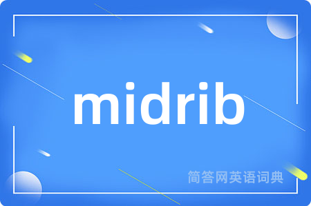 midrib是什么意思,midrib的中文翻译 midrib