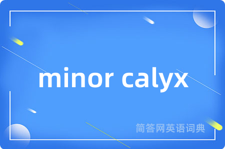 minor calyx