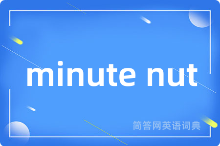 minute nut是什么意思,minute nut的中文翻译 minute nut