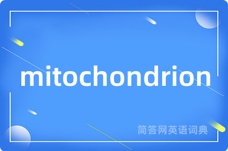 mitochondrion是什么意思,mitochondrion的中文翻译 mitochondrion