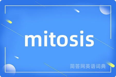 mitosis