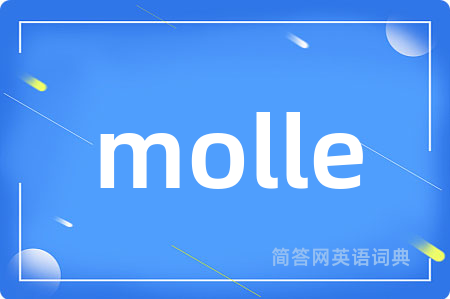 molle是什么意思,molle的中文翻译 molle