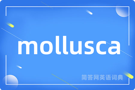mollusca