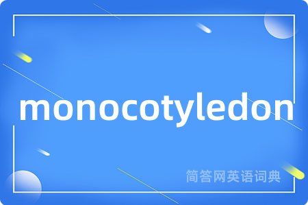 monocotyledon是什么意思,monocotyledon的中文翻译 monocotyledon