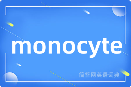 monocyte