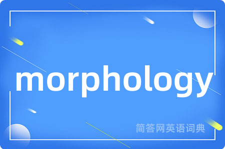 morphology