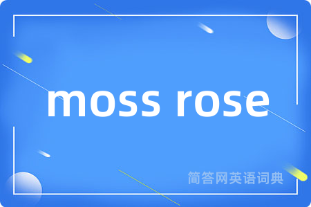 moss rose是什么意思,moss rose的中文翻译 moss rose
