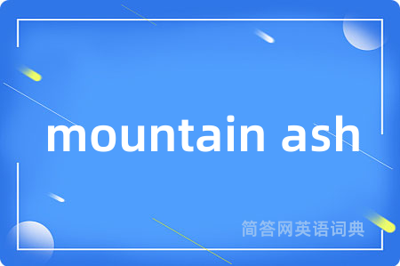 mountain ash是什么意思,mountain ash的中文翻译 mountain ash