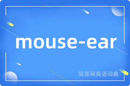 mouse-ear