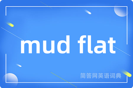 mud flat是什么意思,mud flat的中文翻译 mud flat