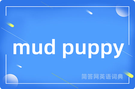 mud puppy是什么意思,mud puppy的中文翻译 mud puppy