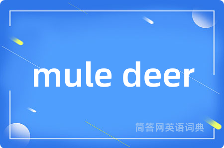 mule deer